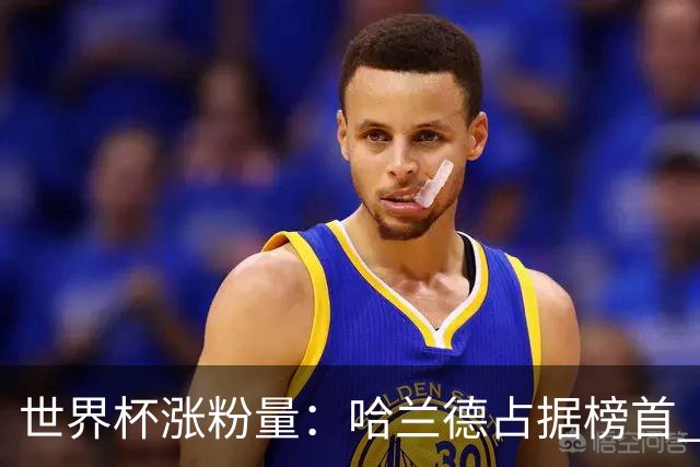 世界杯涨粉量：哈兰德占据榜首 沃齐尼亚粉丝涨幅97900%