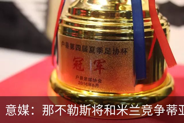 意媒：那不勒斯将和米兰竞争蒂亚戈-加布里埃尔，莱切要2500万