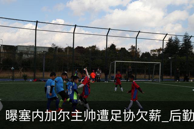 曝塞内加尔主帅遭足协欠薪 后勤保障糟糕球员被逼点外卖