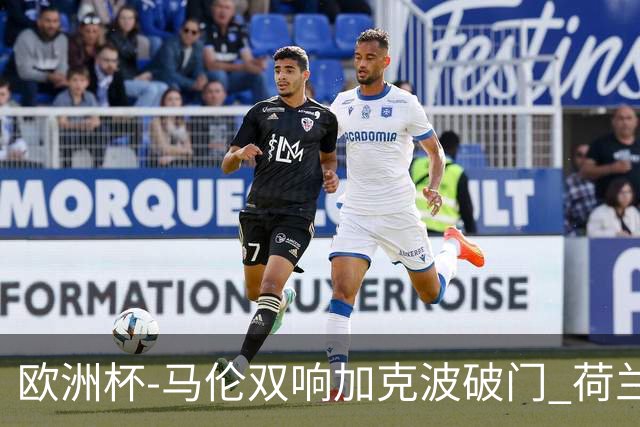 欧洲杯-马伦双响加克波破门 荷兰3-0罗马尼亚