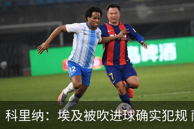 科里纳：埃及被吹进球确实犯规 萨拉赫倒地正常接触