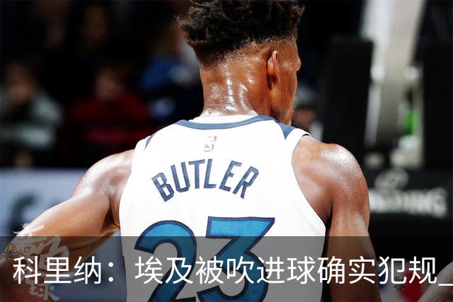 科里纳：埃及被吹进球确实犯规 萨拉赫倒地正常接触