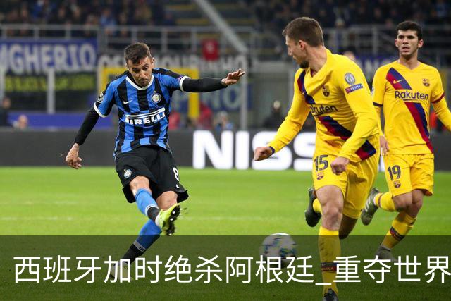 西班牙加时绝杀阿根廷 重夺世界杯冠军