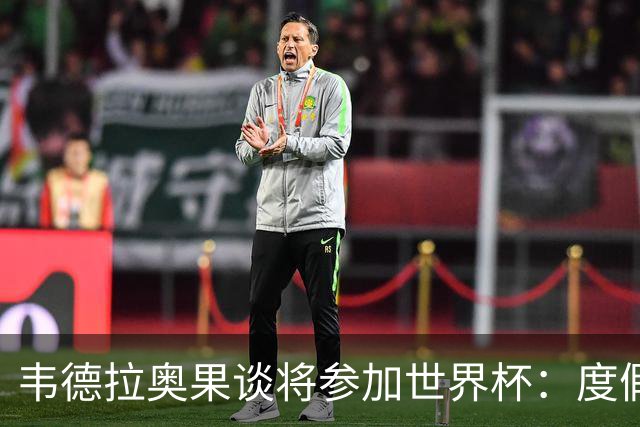 韦德拉奥果谈将参加世界杯：度假时接到了纳帅电话，儿时梦想成真