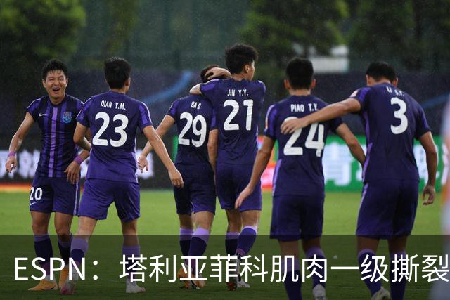ESPN：塔利亚菲科肌肉一级撕裂，至少缺席世界杯前两场小组赛